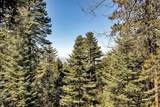 52380 Pine Ridge Road - Photo 28