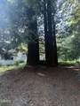 31750 Pudding Creek Road - Photo 14