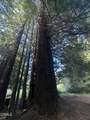 31750 Pudding Creek Road - Photo 4