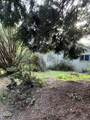 31750 Pudding Creek Road - Photo 5