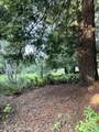 31750 Pudding Creek Road - Photo 6