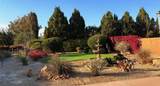 81407 Golden Poppy Way - Photo 19