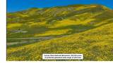 0 Coalinga Trail - Photo 4
