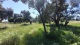 2915 99W - Photo 20