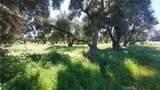 2915 99W - Photo 24