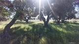 2915 99W - Photo 29