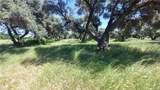 2915 99W - Photo 31