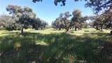 2915 99W - Photo 37