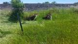 2915 99W - Photo 44