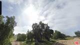 35218 Twin Willow Road - Photo 2