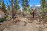 41604 Hummingbird Lane - Photo 13