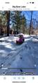 41604 Hummingbird Lane - Photo 47