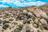 57710 Bandera Road - Photo 35