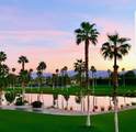 28740 Desert Princess Drive - Photo 10