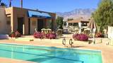 28740 Desert Princess Drive - Photo 13