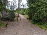 625 Ormonde Road - Photo 11