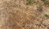0 10th Street - Photo 1