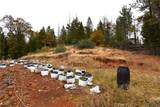 233 Renegade Road - Photo 40