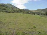 14761 Quail Haven Ln 1 - Photo 2