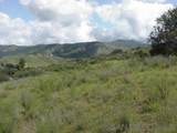 14761 Quail Haven Ln 1 - Photo 3