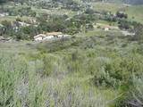 14761 Quail Haven Ln 1 - Photo 6