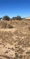 0 LOT 558 Loop Boulevard - Photo 1