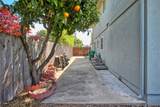 404 Pecan Street - Photo 49