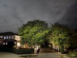 994 Big Sky Lane - Photo 16