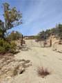 61400 Indian Paint Brush Road - Photo 3