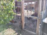 4077 Amador Road - Photo 33