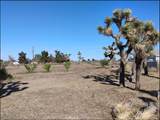 4077 Amador Road - Photo 37