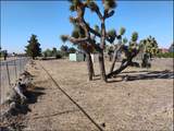 4077 Amador Road - Photo 39