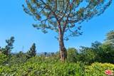 20553 Califa Street - Photo 44