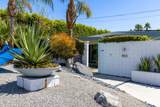 980 Calle Paul - Photo 45