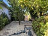 4190 Chaban Dr - Photo 8
