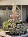 1125 6th Street - Photo 2