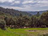 1584 Tindall Ranch Road - Photo 102