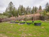 1584 Tindall Ranch Road - Photo 98