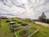 1584 Tindall Ranch Road - Photo 99