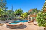 2282 Dehesa Rd - Photo 41