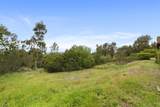 6035 Paseo Valencia - Photo 11