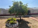 28960 Olympia Way - Photo 21