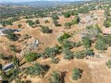 39854 Lilley Mountain Drive - Photo 13
