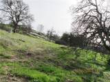 39854 Lilley Mountain Drive - Photo 24