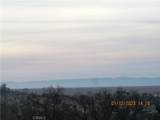 39854 Lilley Mountain Drive - Photo 28