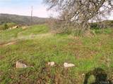 39854 Lilley Mountain Drive - Photo 37
