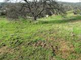 39854 Lilley Mountain Drive - Photo 38