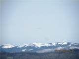 39854 Lilley Mountain Drive - Photo 42