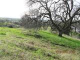 39854 Lilley Mountain Drive - Photo 44