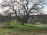 39854 Lilley Mountain Drive - Photo 45